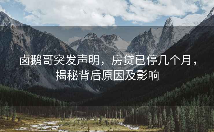 鹵鵝哥突發(fā)聲明，房貸已停幾個(gè)月，揭秘背后原因及影響