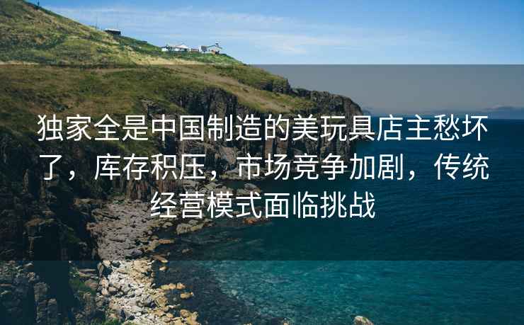 獨(dú)家全是中國(guó)制造的美玩具店主愁壞了，庫(kù)存積壓，市場(chǎng)競(jìng)爭(zhēng)加劇，傳統(tǒng)經(jīng)營(yíng)模式面臨挑戰(zhàn)