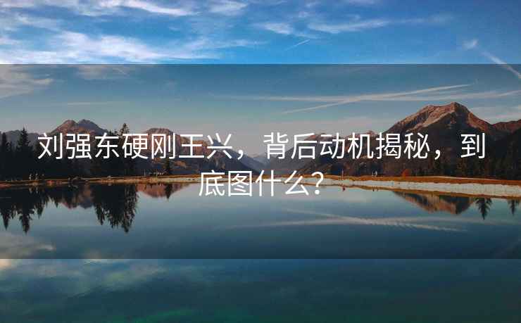 劉強東硬剛王興，背后動機揭秘，到底圖什么？
