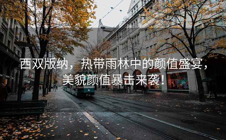西雙版納，熱帶雨林中的顏值盛宴，美貌顏值暴擊來襲！