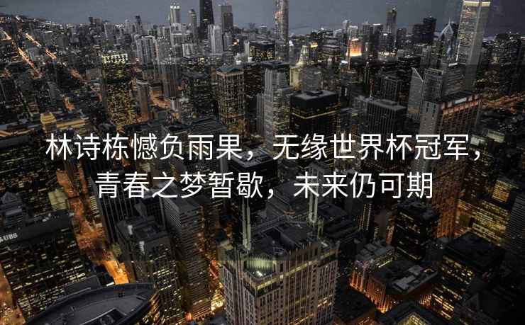 林詩棟憾負雨果，無緣世界杯冠軍，青春之夢暫歇，未來仍可期
