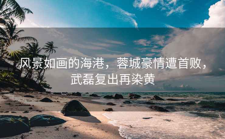 風景如畫的海港，蓉城豪情遭首敗，武磊復出再染黃