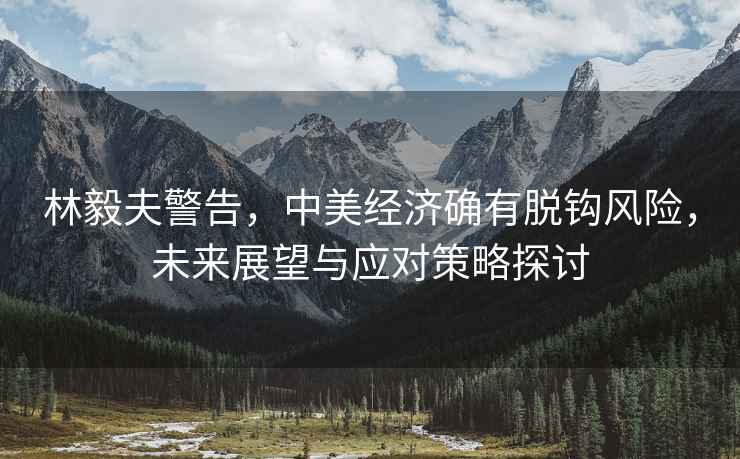 林毅夫警告，中美經濟確有脫鉤風險，未來展望與應對策略探討
