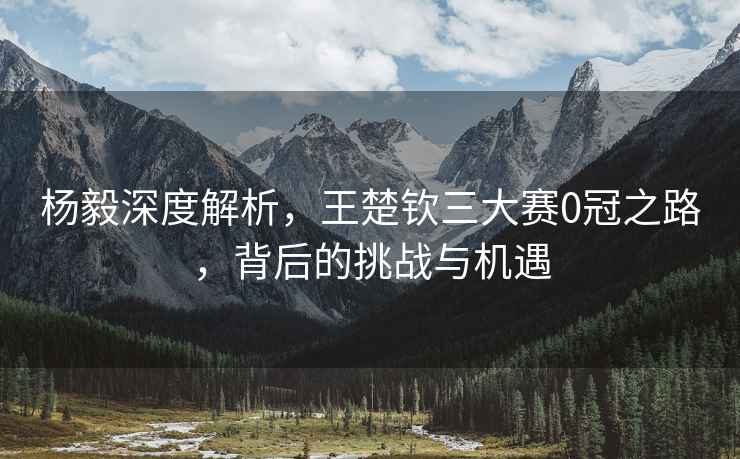 楊毅深度解析，王楚欽三大賽0冠之路，背后的挑戰與機遇