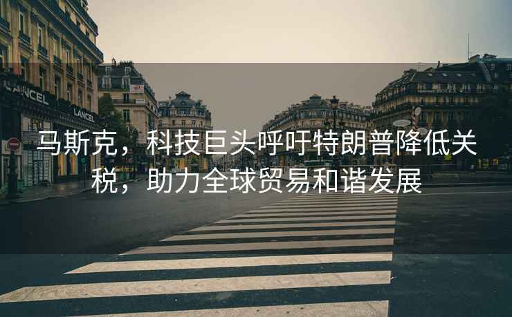 馬斯克，科技巨頭呼吁特朗普降低關稅，助力全球貿易和諧發展