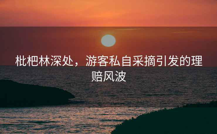 枇杷林深處，游客私自采摘引發的理賠風波