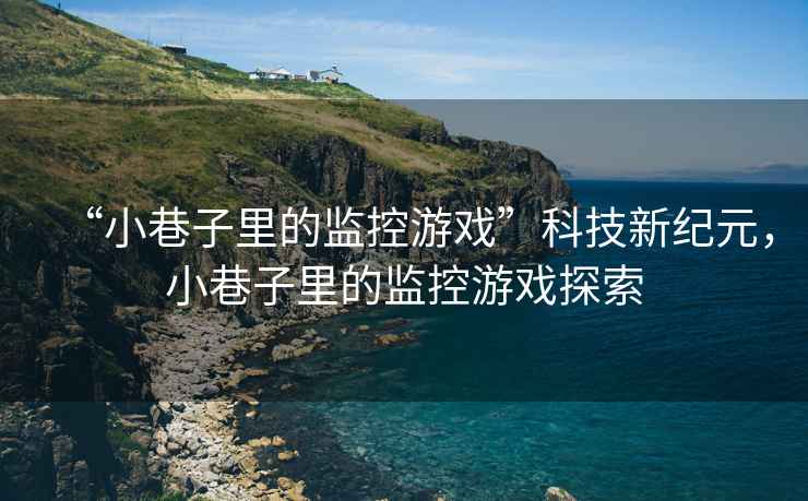 “小巷子里的監控游戲”科技新紀元，小巷子里的監控游戲探索