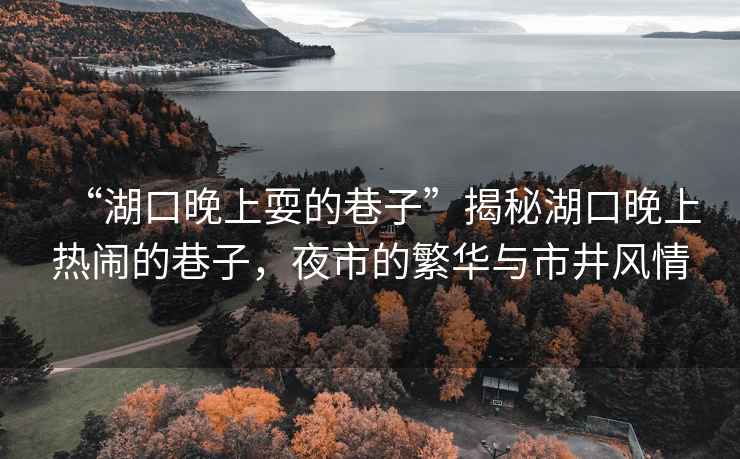 “湖口晚上耍的巷子”揭秘湖口晚上熱鬧的巷子，夜市的繁華與市井風情
