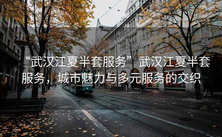 “武漢江夏半套服務”武漢江夏半套服務，城市魅力與多元服務的交織