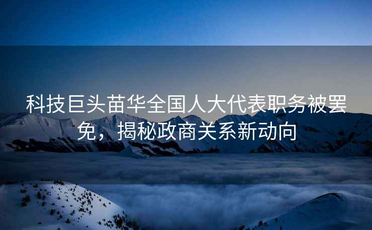 科技巨頭苗華全國人大代表職務被罷免，揭秘政商關系新動向
