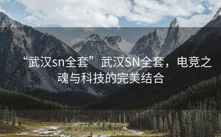 “武漢sn全套”武漢SN全套，電競之魂與科技的完美結合