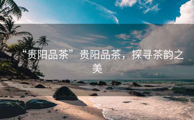 “貴陽品茶”貴陽品茶，探尋茶韻之美