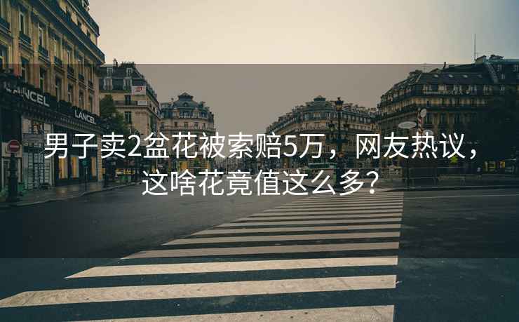 男子賣2盆花被索賠5萬，網友熱議，這啥花竟值這么多？
