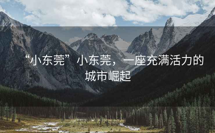 “小東莞”小東莞，一座充滿活力的城市崛起