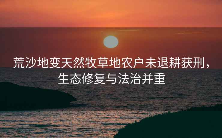 荒沙地變天然牧草地農戶未退耕獲刑，生態修復與法治并重