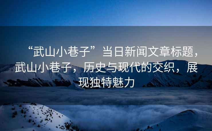 “武山小巷子”當(dāng)日新聞文章標(biāo)題，武山小巷子，歷史與現(xiàn)代的交織，展現(xiàn)獨特魅力