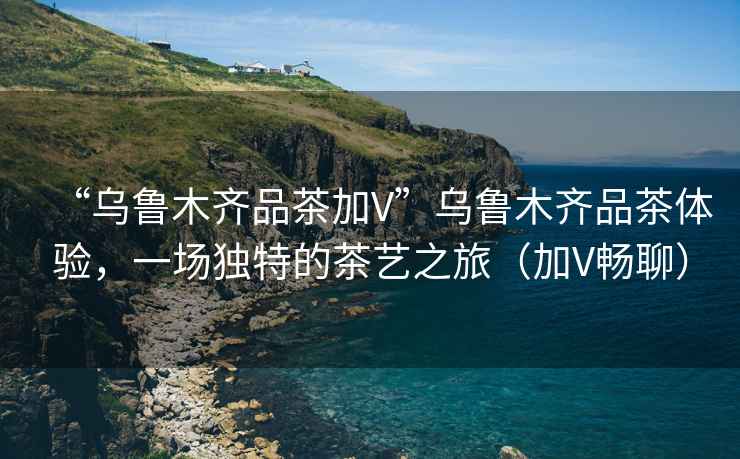 “烏魯木齊品茶加V”烏魯木齊品茶體驗，一場獨特的茶藝之旅（加V暢聊）