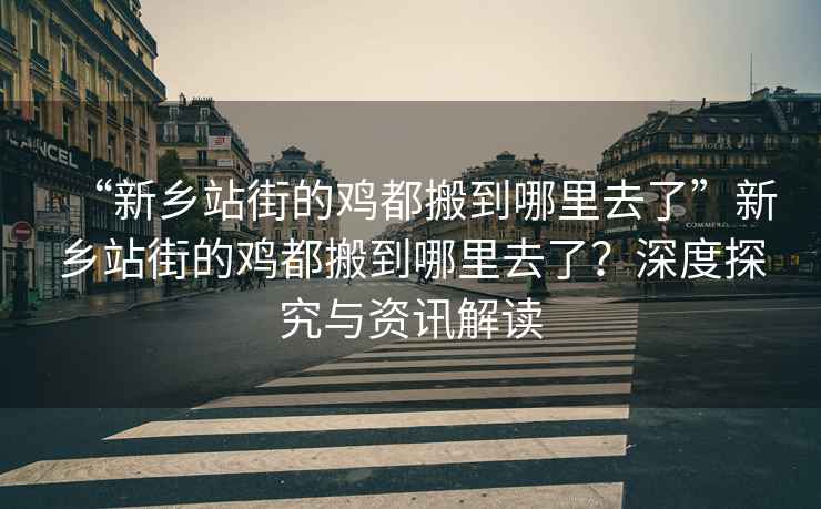 “新鄉站街的雞都搬到哪里去了”新鄉站街的雞都搬到哪里去了？深度探究與資訊解讀