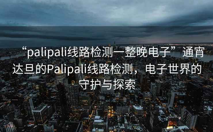 “palipali線路檢測一整晚電子”通宵達旦的Palipali線路檢測，電子世界的守護與探索
