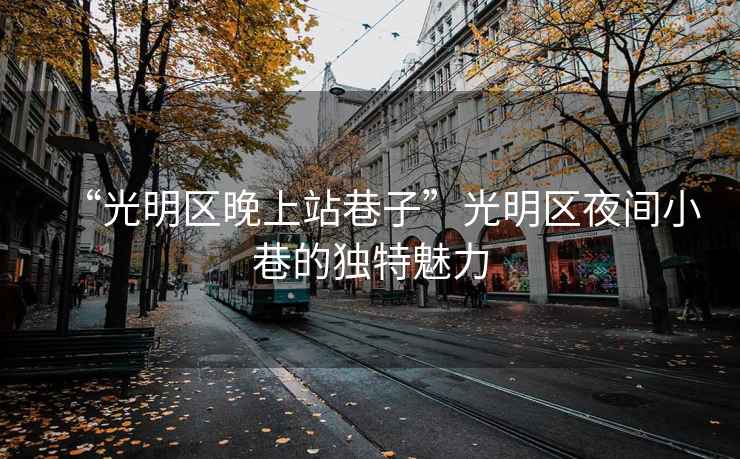 “光明區(qū)晚上站巷子”光明區(qū)夜間小巷的獨(dú)特魅力