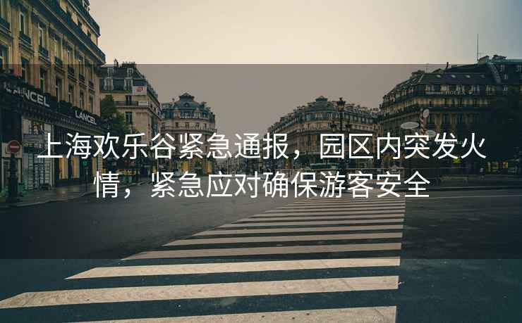 上海歡樂(lè)谷緊急通報(bào)，園區(qū)內(nèi)突發(fā)火情，緊急應(yīng)對(duì)確保游客安全