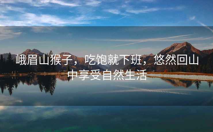 峨眉山猴子，吃飽就下班，悠然回山中享受自然生活