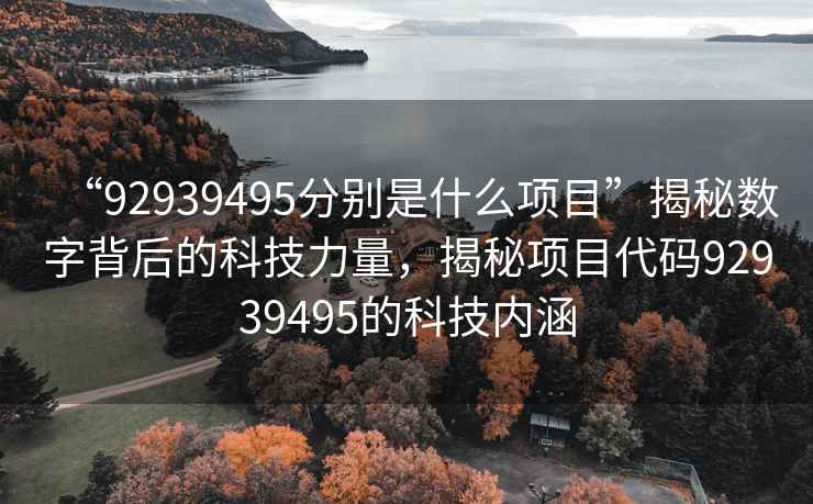 “92939495分別是什么項目”揭秘數字背后的科技力量，揭秘項目代碼92939495的科技內涵