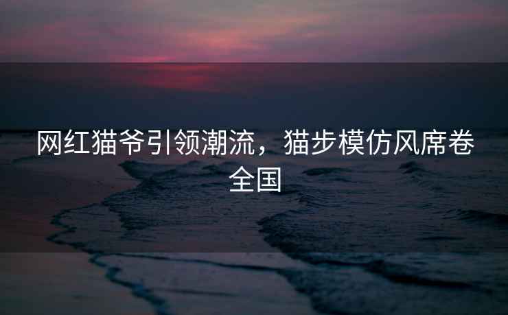 網紅貓爺引領潮流，貓步模仿風席卷全國
