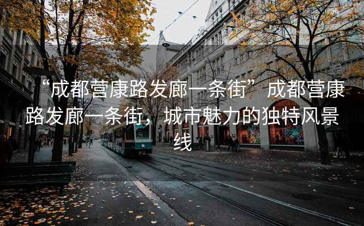 “成都營康路發廊一條街”成都營康路發廊一條街，城市魅力的獨特風景線
