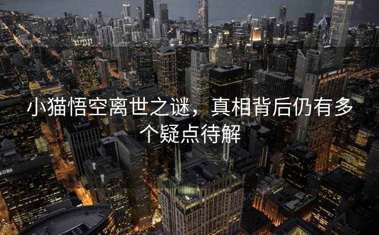 小貓悟空離世之謎，真相背后仍有多個疑點待解