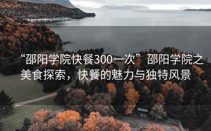 “邵陽學院快餐300一次”邵陽學院之美食探索，快餐的魅力與獨特風景