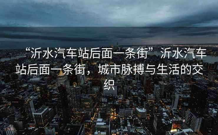 “沂水汽車站后面一條街”沂水汽車站后面一條街，城市脈搏與生活的交織