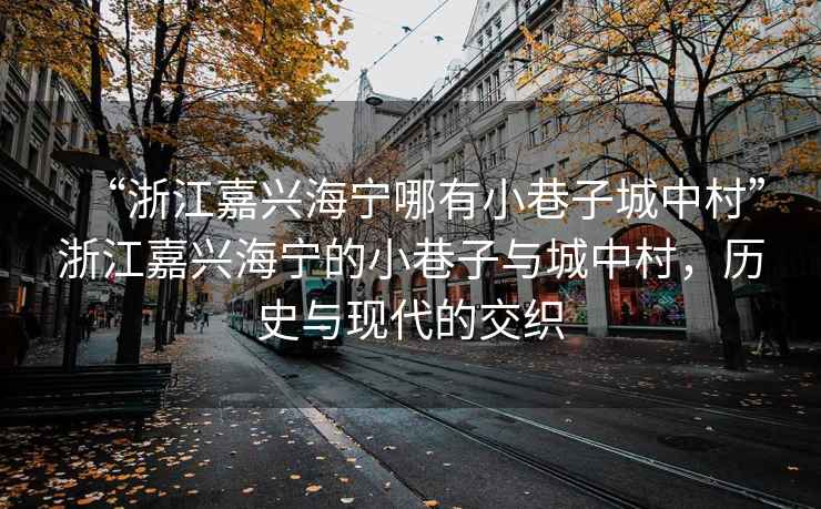 “浙江嘉興海寧哪有小巷子城中村”浙江嘉興海寧的小巷子與城中村，歷史與現(xiàn)代的交織