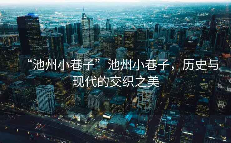 “池州小巷子”池州小巷子，歷史與現代的交織之美