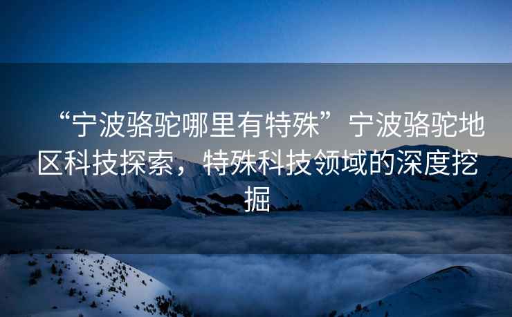 “寧波駱駝哪里有特殊”寧波駱駝地區科技探索，特殊科技領域的深度挖掘
