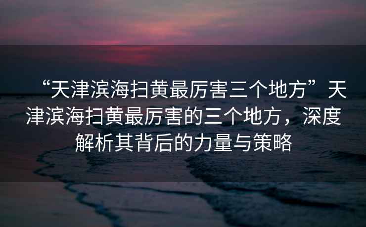 “天津濱海掃黃最厲害三個地方”天津濱海掃黃最厲害的三個地方，深度解析其背后的力量與策略