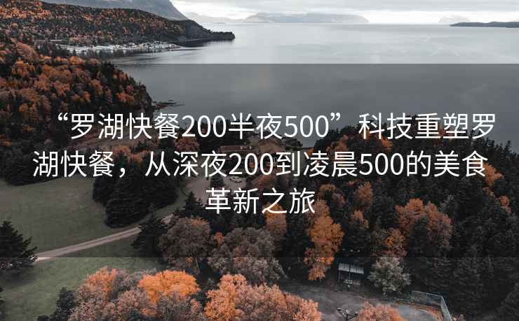 “羅湖快餐200半夜500”科技重塑羅湖快餐，從深夜200到凌晨500的美食革新之旅