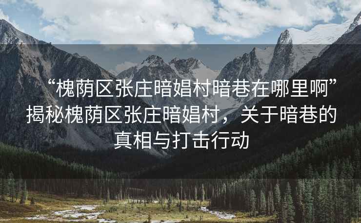 “槐蔭區張莊暗娼村暗巷在哪里啊”揭秘槐蔭區張莊暗娼村，關于暗巷的真相與打擊行動