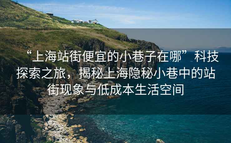 “上海站街便宜的小巷子在哪”科技探索之旅，揭秘上海隱秘小巷中的站街現象與低成本生活空間