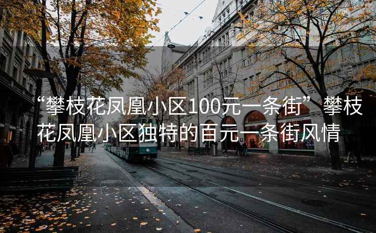 “攀枝花鳳凰小區100元一條街”攀枝花鳳凰小區獨特的百元一條街風情