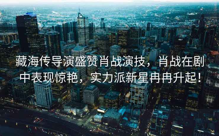 藏海傳導演盛贊肖戰演技，肖戰在劇中表現驚艷，實力派新星冉冉升起！