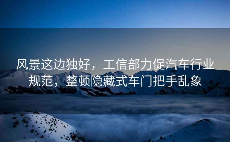 風(fēng)景這邊獨(dú)好，工信部力促汽車行業(yè)規(guī)范，整頓隱藏式車門把手亂象