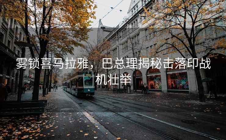 霧鎖喜馬拉雅，巴總理揭秘擊落印戰(zhàn)機壯舉