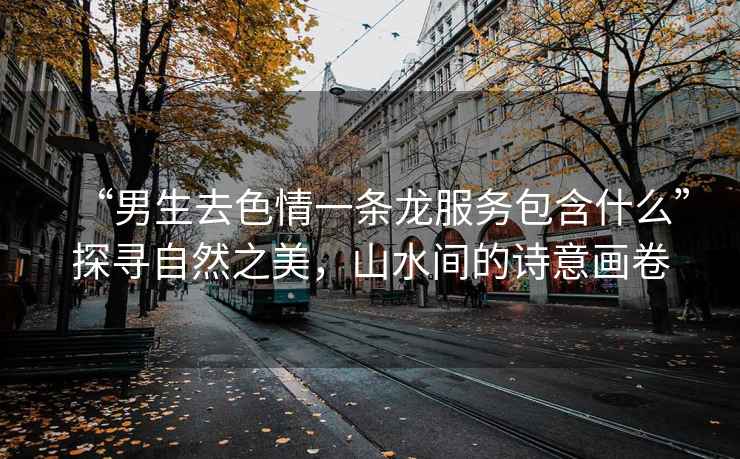“男生去色情一條龍服務包含什么”探尋自然之美，山水間的詩意畫卷