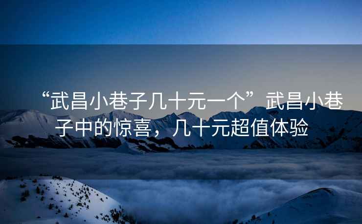 “武昌小巷子幾十元一個”武昌小巷子中的驚喜，幾十元超值體驗