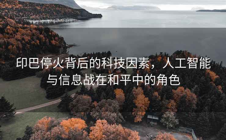 印巴停火背后的科技因素，人工智能與信息戰在和平中的角色