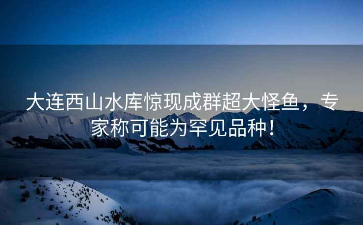 大連西山水庫驚現成群超大怪魚，專家稱可能為罕見品種！