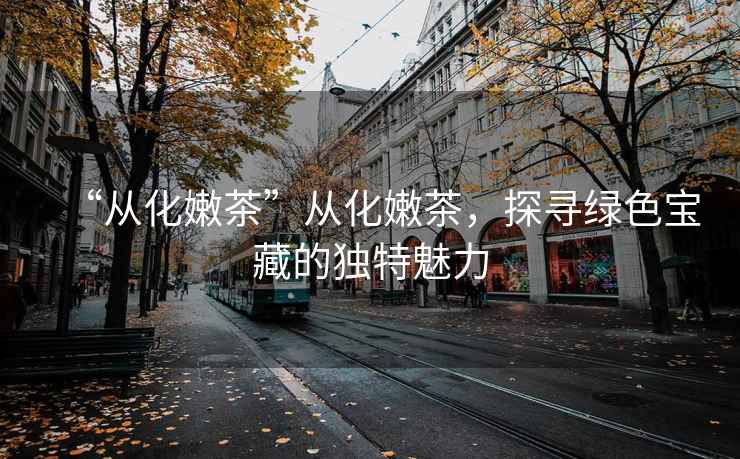 “從化嫩茶”從化嫩茶，探尋綠色寶藏的獨(dú)特魅力
