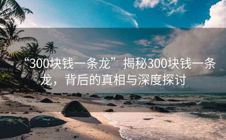 “300塊錢一條龍”揭秘300塊錢一條龍，背后的真相與深度探討