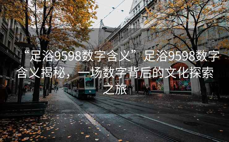 “足浴9598數(shù)字含義”足浴9598數(shù)字含義揭秘，一場數(shù)字背后的文化探索之旅